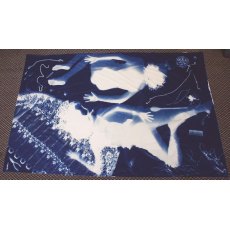 Jacquard Cyanotype Pretreated Mural Fabric