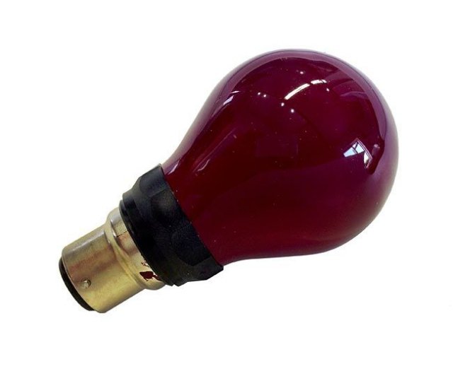 Lamps Lamps Safelight, Red, 240v 15w BC