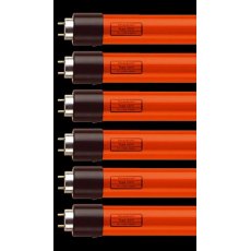 Lamps Darkroom Safelight Fluorescent Tubes (6),DSL58WR10