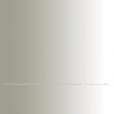 Colorama Background Graduated PVC 303 Smoke to White