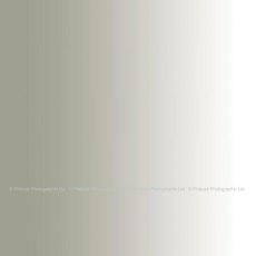 Colorama Background Graduated PVC 303 Smoke to White