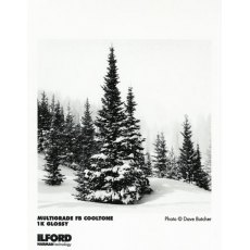 Ilford Multigrade FB Cooltone, Glossy, 8 x 10in, 25 Sheets