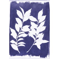 Jacquard Cyanotype Set