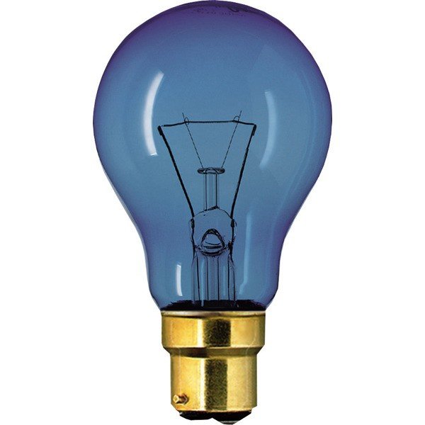 Lamps Lamps Daylight Bulb, 240V/100W BC