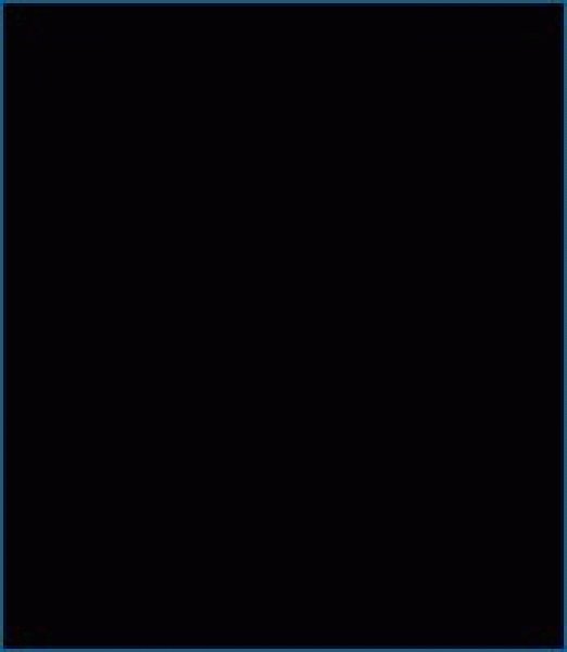 Interfit Interfit INT 515S Washable Background Cloth Black