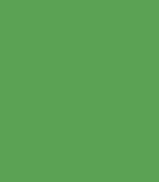 Interfit Interfit INT 525L Washable Background Cloth Chromakey Green