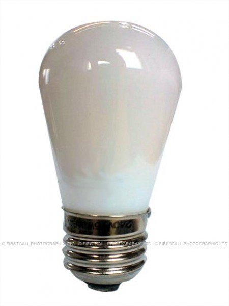 Lamps Lamps Premium ES Screw Enlarger Lamp, PH-1400 240v 75w