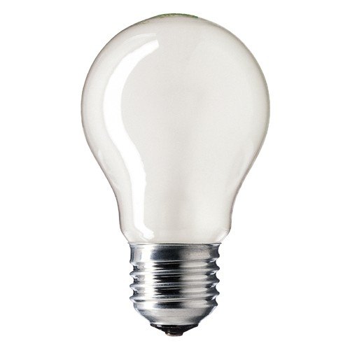 Lamps Lamps P3/4 ES Screw Enlarger Lamp, 150W