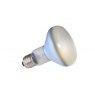 Firstcall Copystand Spare Bulb, R80, 100w