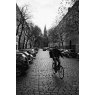 CineStill CineStill BWxx ISO 200 135/36