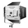 Godox Godox Litemons LP400R Two Head Schools Kit