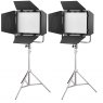 Godox Godox Litemons LP600Bi Two Head Schools Kit