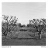 Kentmere Kentmere PAN 200 Black and White Film ISO 200 120