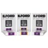 Ilford Multigrade RC Deluxe, Pearl, 12 x 16in, Pack of 50