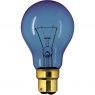 Lamps Daylight Bulb, 240V/100W BC