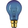 Lamps Daylight Bulb, 240V/100W BC