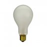 Lamps P2/1 ES Screw Photoflood lamp, 240V 500W