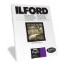 Ilford MG ART 300, 8 x 10 in, 50 Sheets