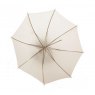 Paterson Brolly, LIT310 Translucent Umbrella, 36 inch