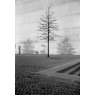Adox CMS 20 II 35mm, ISO 20