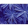 Jacquard Jacquard SolarFast 8 Fl Oz Dye No 107, Blue