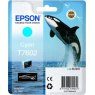 Epson Ink Jet Cartridge T7602 Killer Whale, Cyan