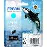 Epson Ink Jet Cartridge T7602 Killer Whale Cyan - Clearance - Expired 2024