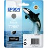 Epson Ink Jet Cartridge T7607 Killer Whale, Light Black