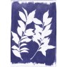 Jacquard Cyanotype Ferric Ammonium Citrate - 230 gram