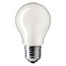 Lamps P3/3 ES Screw Enlarger Lamp, 75W