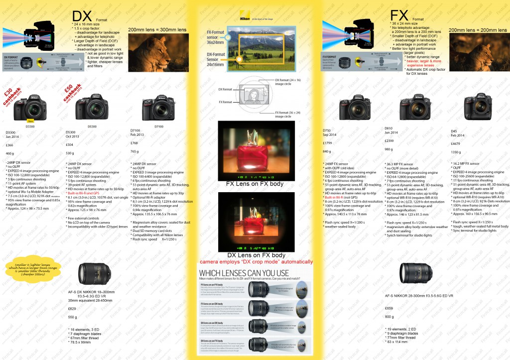 Infographic of current Nikon DSLR cameras